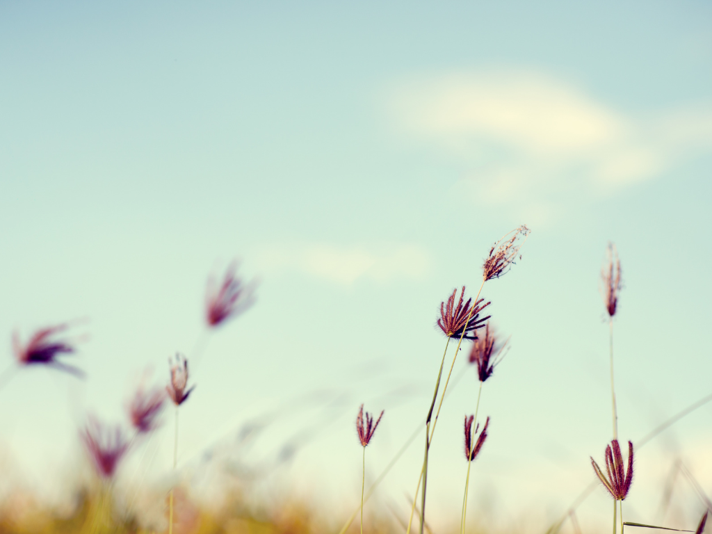 UAE’s Role in International Arbitration: Understanding a Rapidly Growing Influence