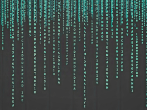 Rising Cyber Threats in the UAE: Why One Click Could Cost You Your Business