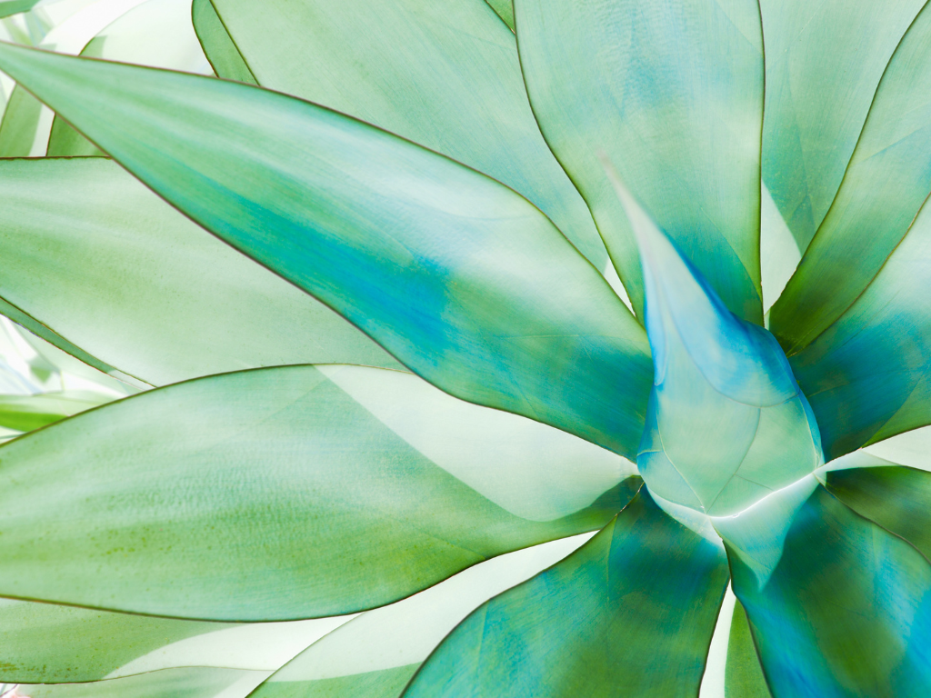 Crisis-Driven Immigration Flexibility: A New Tool for Economic Stability?