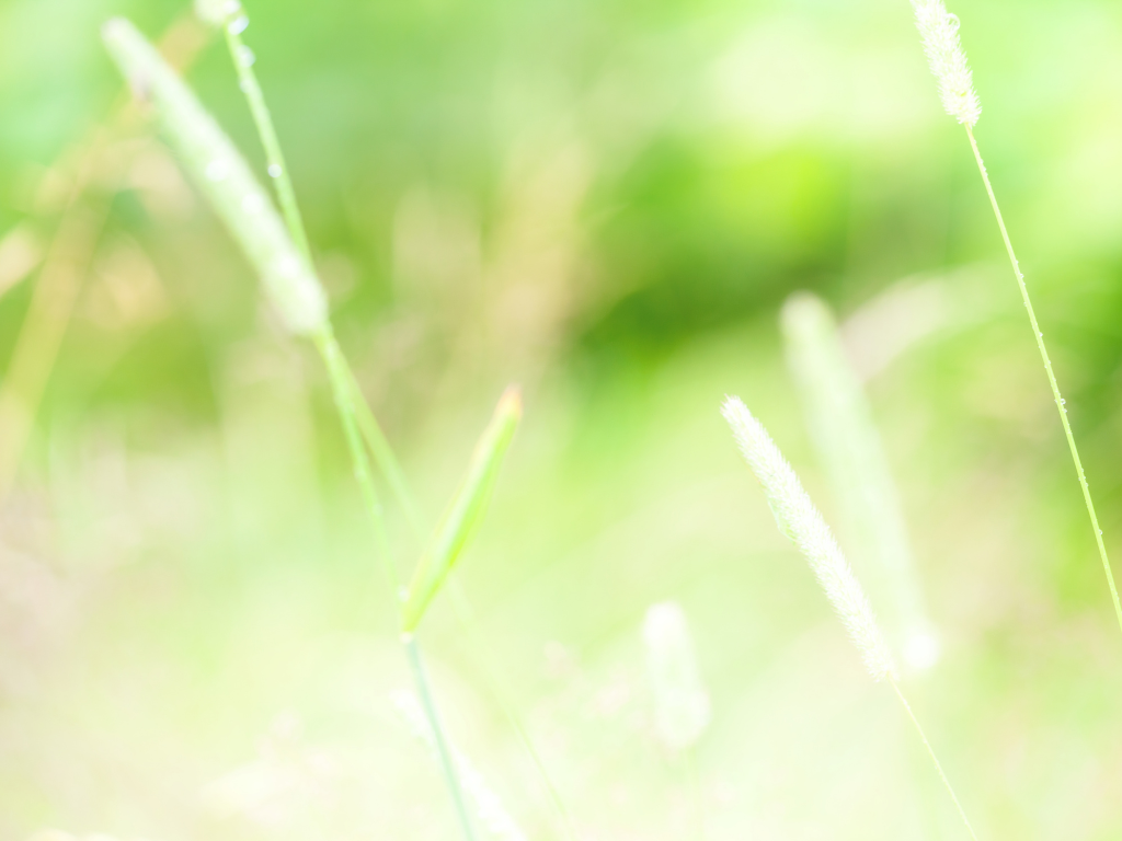 Teacher Appointment Guidelines in Dubai and the 90-Day Rule: A Regulatory Framework for Teacher Mobility and Its Interaction with UAE Labour Law